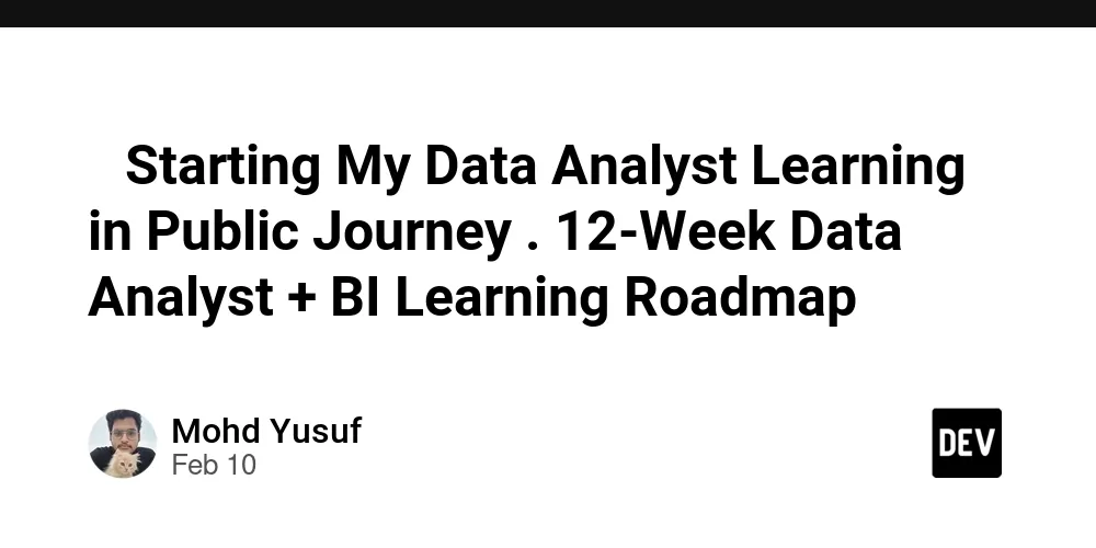 🚀 Starting My Data Analyst Learning in Public Journey . 12-Week Data Analyst + BI Learning Roadmap