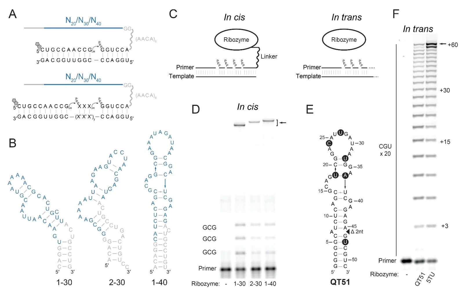Could the discovery of a tiny RNA molecule explain the origins of life?