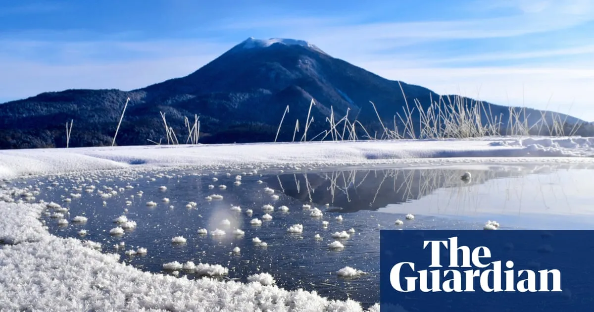 Weatherwatch: How frost flowers turn icy landscapes into beautiful gardens