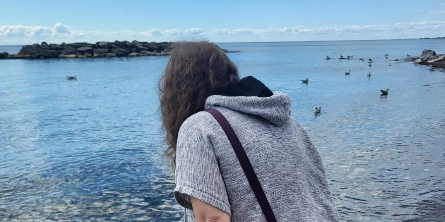 A scenic view of a small Canadian town, showcasing nature and tranquility.