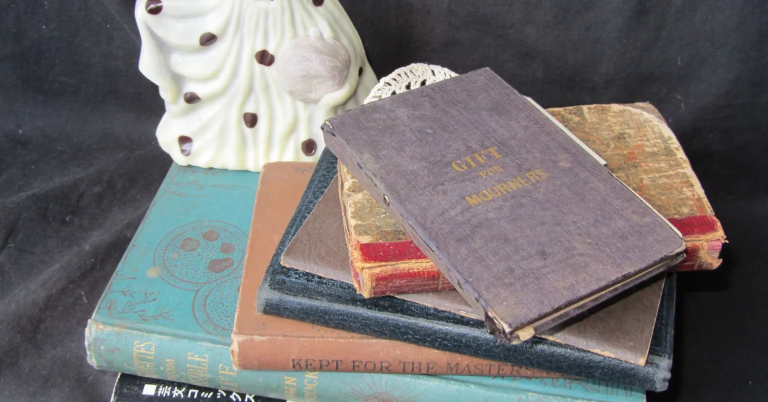 Did My Mother See Apparitions, Angels, Flashbacks or Ghosts?